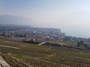Vevey